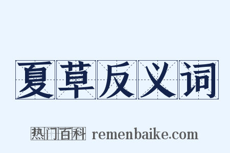 夏草反义词是什么意思的图片